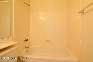 3916 E Park Ave, Phoenix, AZ 85044 photo 20