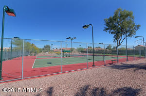 3916 E Park Ave, Phoenix, AZ 85044 photo 37