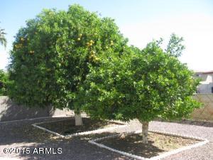 6101 E Boise St, Mesa, AZ 85205 photo 14