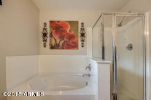 4060 E Oakland St, Gilbert, AZ 85295 photo 23