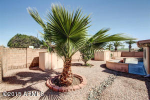 6056 E Butte St, Mesa, AZ 85205 photo 48