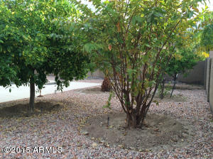 6111 E Riverdale St, Mesa, AZ 85215 photo 42