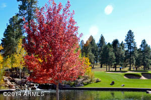 1695 E Singletree Ct, Flagstaff, AZ 86005 photo 49