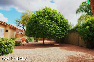 5937 E Jensen St, Mesa, AZ 85205 photo 22