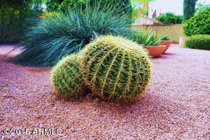 5937 E Jensen St, Mesa, AZ 85205 photo 18