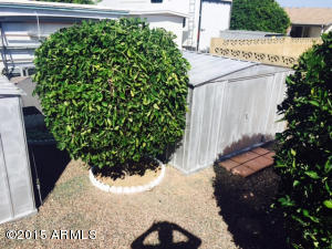 6334 E Adobe Rd, Mesa, AZ 85205 photo 30