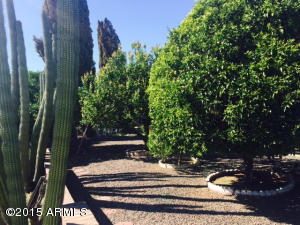 6334 E Adobe Rd, Mesa, AZ 85205 photo 26