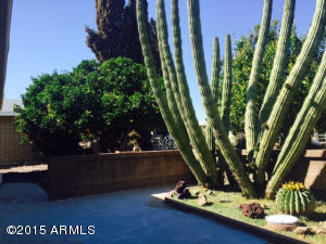 6334 E Adobe Rd, Mesa, AZ 85205 photo 29