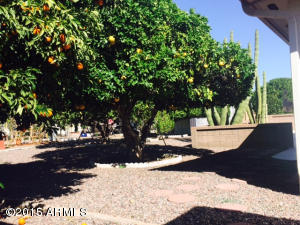 6334 E Adobe Rd, Mesa, AZ 85205 photo 23