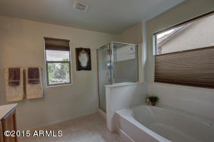 1185 E Buffalo St, Gilbert, AZ 85295 photo 16