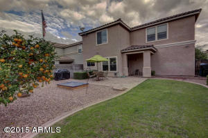 1185 E Buffalo St, Gilbert, AZ 85295 photo 18