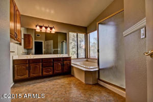 2218 E Mallard Ct, Gilbert, AZ 85234 photo 19
