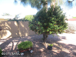 4628 E Flower Ave, Mesa, AZ 85206 photo 17
