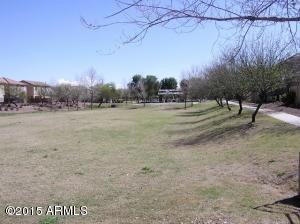 3798 E Trigger Way, Gilbert, AZ 85297 photo 22