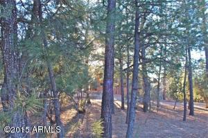 2870 Lejo Rd, Overgaard, AZ 85933 photo 37