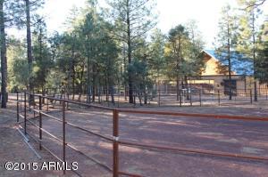 2870 Lejo Rd, Overgaard, AZ 85933 photo 30