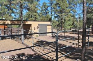 2870 Lejo Rd, Overgaard, AZ 85933 photo 32