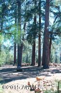 2870 Lejo Rd, Overgaard, AZ 85933 photo 35