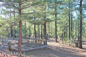 2870 Lejo Rd, Overgaard, AZ 85933 photo 33