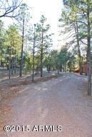 2870 Lejo Rd, Overgaard, AZ 85933 photo 36