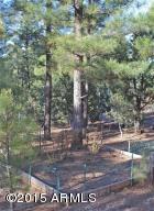 2870 Lejo Rd, Overgaard, AZ 85933 photo 38