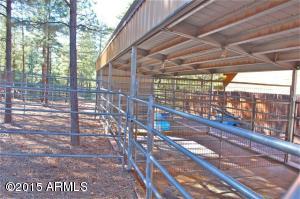 2870 Lejo Rd, Overgaard, AZ 85933 photo 28