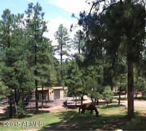 2870 Lejo Rd, Overgaard, AZ 85933 photo 29