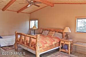 2870 Lejo Rd, Overgaard, AZ 85933 photo 15