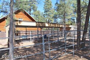 2870 Lejo Rd, Overgaard, AZ 85933 photo 31