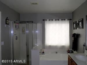 9241 E Lobo Ave, Mesa, AZ 85209 photo 21