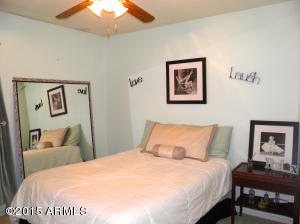 9241 E Lobo Ave, Mesa, AZ 85209 photo 25