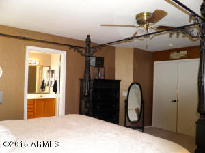 9241 E Lobo Ave, Mesa, AZ 85209 photo 19