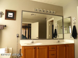 9241 E Lobo Ave, Mesa, AZ 85209 photo 20