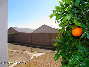 9241 E Lobo Ave, Mesa, AZ 85209 photo 33