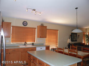 9241 E Lobo Ave, Mesa, AZ 85209 photo 10