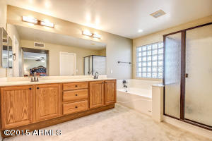 4528 E Des Moines St, Mesa, AZ 85205 photo 36