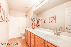 4528 E Des Moines St, Mesa, AZ 85205 photo 45
