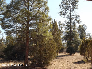 2062 Christmas Pine Rd, Overgaard, AZ 85933 photo 13