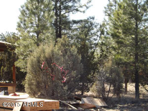 2062 Christmas Pine Rd, Overgaard, AZ 85933 photo 12
