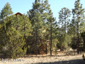 2062 Christmas Pine Rd, Overgaard, AZ 85933 photo 11
