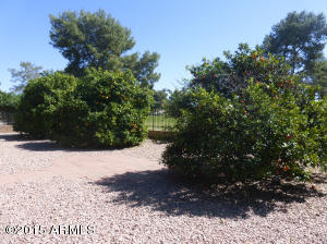 7341 Edgewood Ave, Mesa, AZ 85208 photo 14
