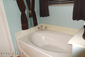 1509 E Gary Way, Phoenix, AZ 85042 photo 15