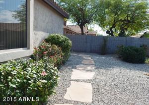 7347 E Norwood St, Mesa, AZ 85207 photo 19