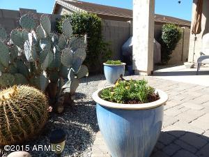 7347 E Norwood St, Mesa, AZ 85207 photo 18