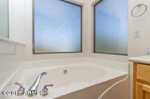 1064 E Cathy Dr, Gilbert, AZ 85296 photo 19