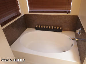 2950 E Blackhawk Dr, Phoenix, AZ 85050 photo 52