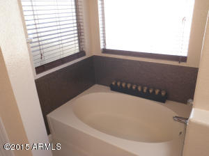 2950 E Blackhawk Dr, Phoenix, AZ 85050 photo 51