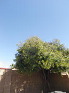 2950 E Blackhawk Dr, Phoenix, AZ 85050 photo 62