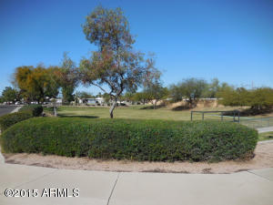 9733 Empress Ave, Mesa, AZ 85208 photo 70