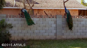 3242 E Flower St, Phoenix, AZ 85018 photo 6